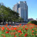 Hotel Maran Suites & Towers,  en PARANA